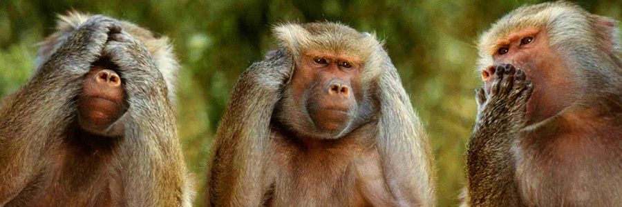 𝙋𝙖𝙪𝙡 𝙒𝙝𝙖𝙧𝙩𝙤𝙣-𝙃𝙖𝙧𝙙𝙢𝙖𝙣 𝘽𝙀𝙈 banner