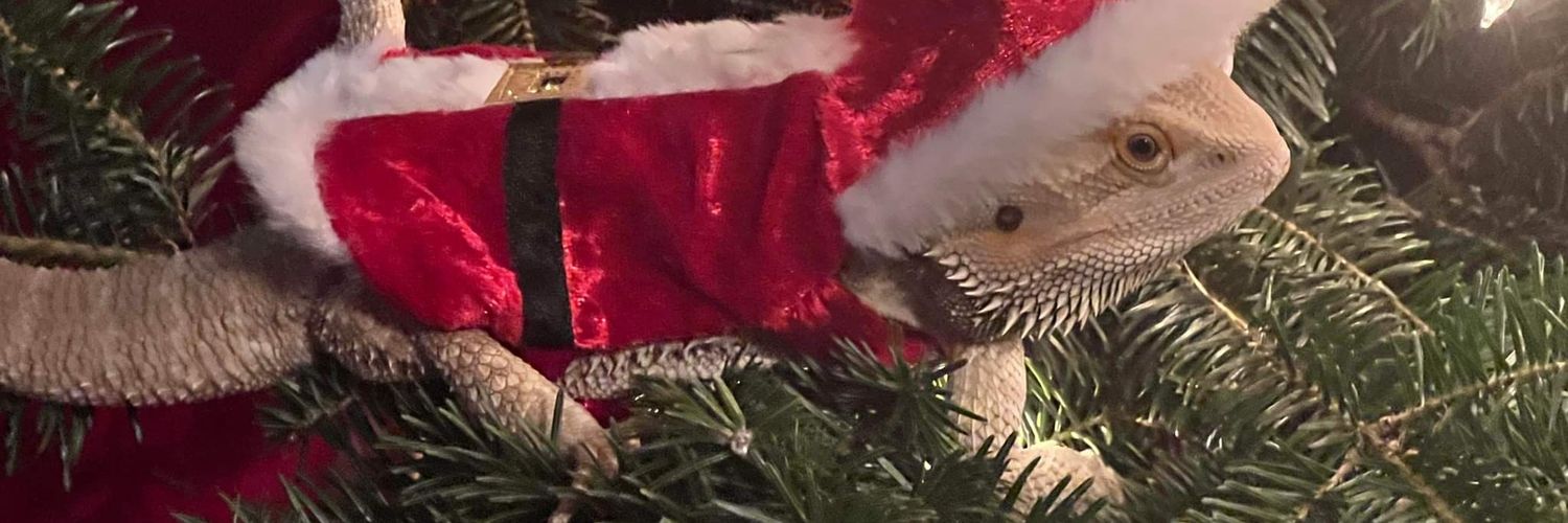 MisszAmber's profile banner image