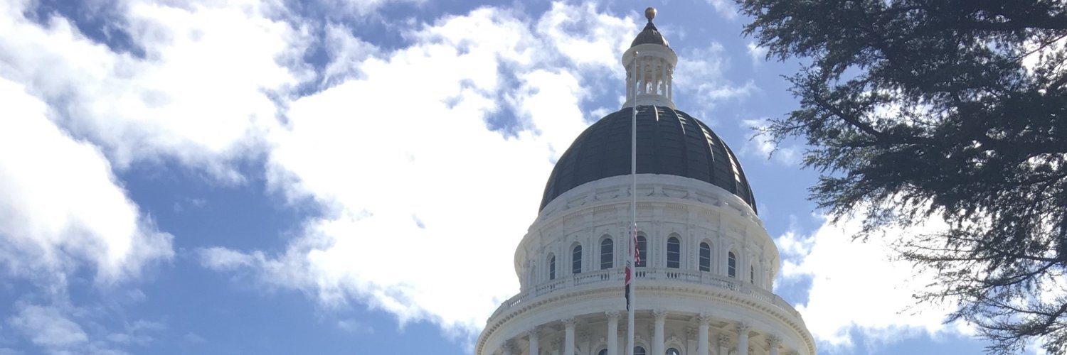 Indivisible Sacramento banner