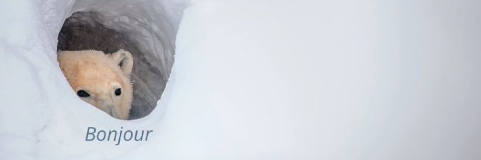 thesailesh9's profile banner image