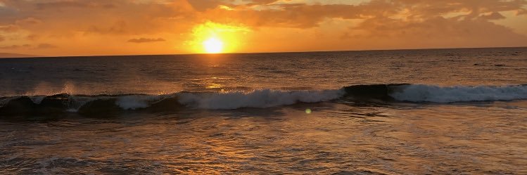 Lizzie_Gio's profile banner image