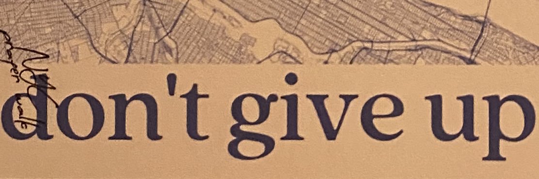 ava bell 🎞 banner