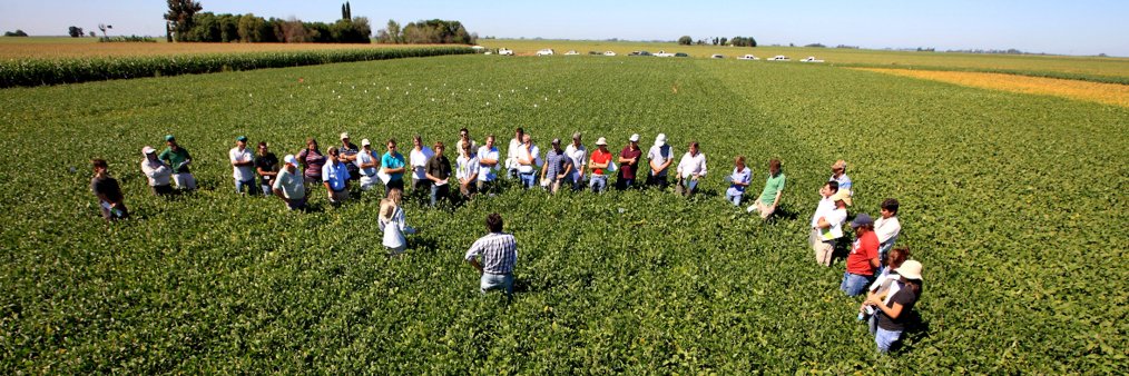 Analía Curti banner