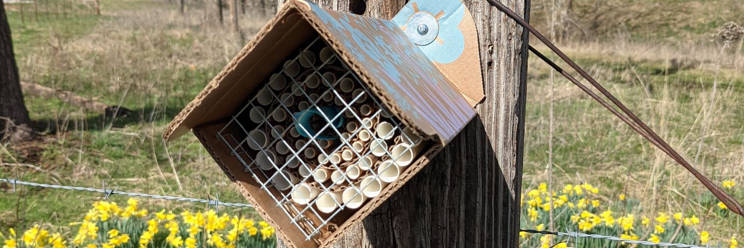 BeeFoster 🐝🌻 banner