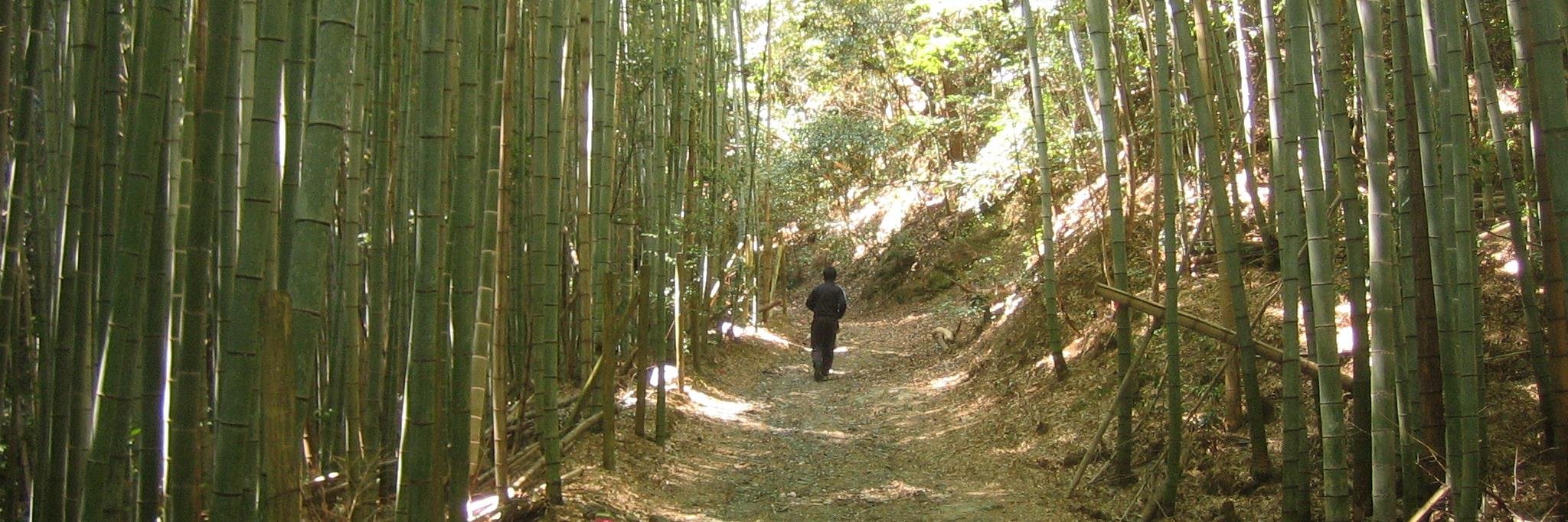 kensakiaori's profile banner image