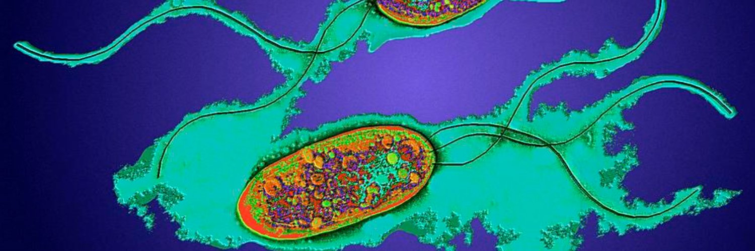 Cara Nys Slaton banner