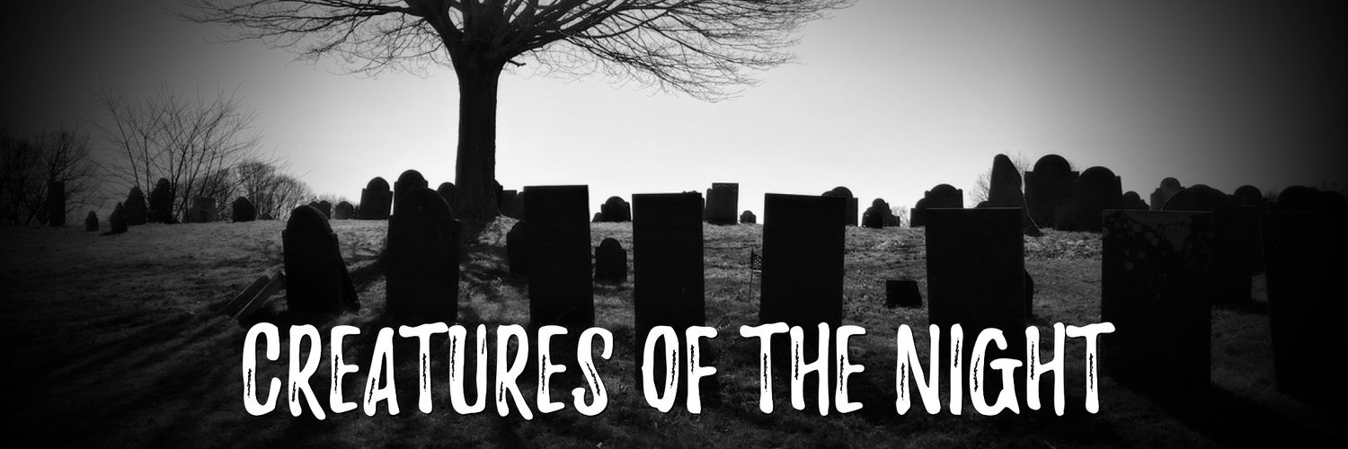 CotnParanormal's profile banner image