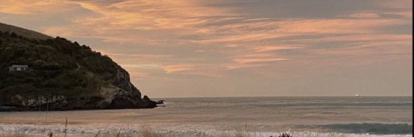 Selinnn8S's profile banner image