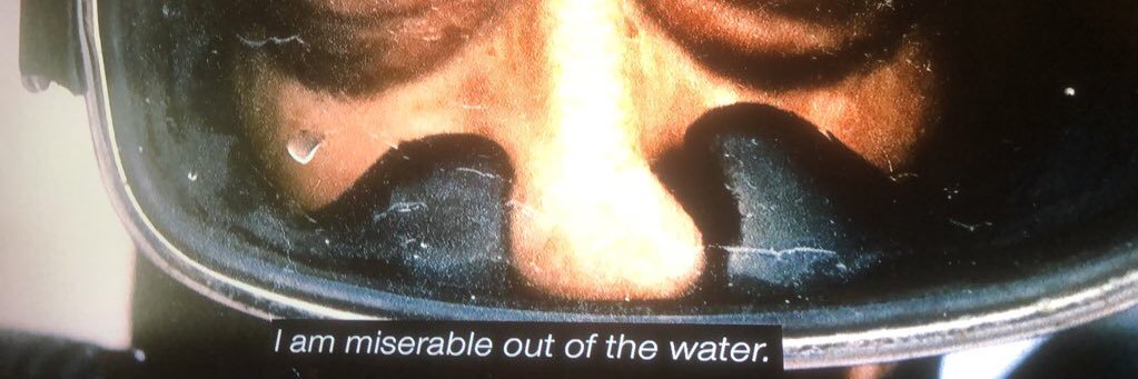 Soy Boy of the deep💛❤️💚 banner