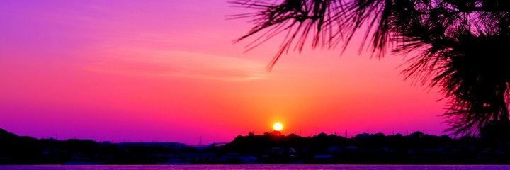 anandi128's profile banner image