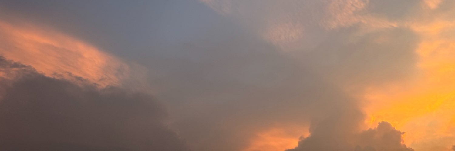 _ny_02's profile banner image