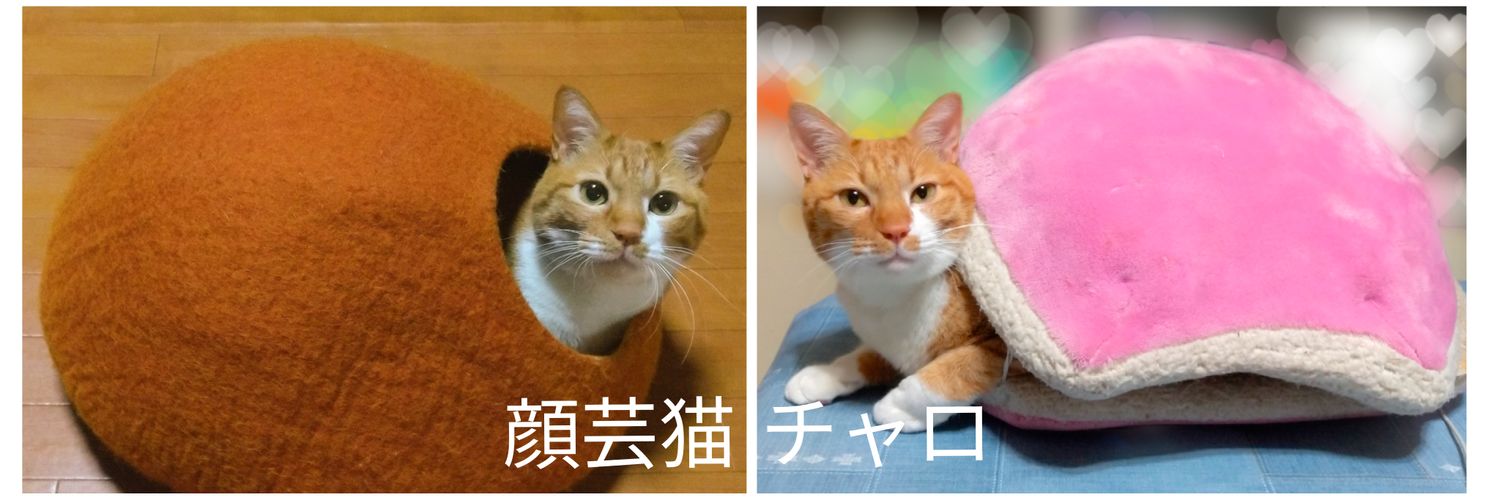 ささかめ's banner