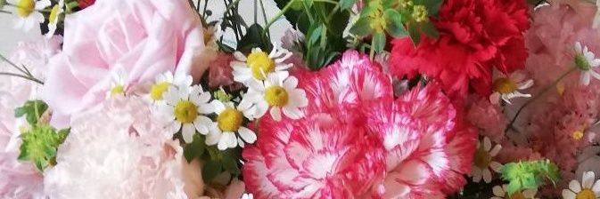 小杉あや　コミケは不参加です's banner