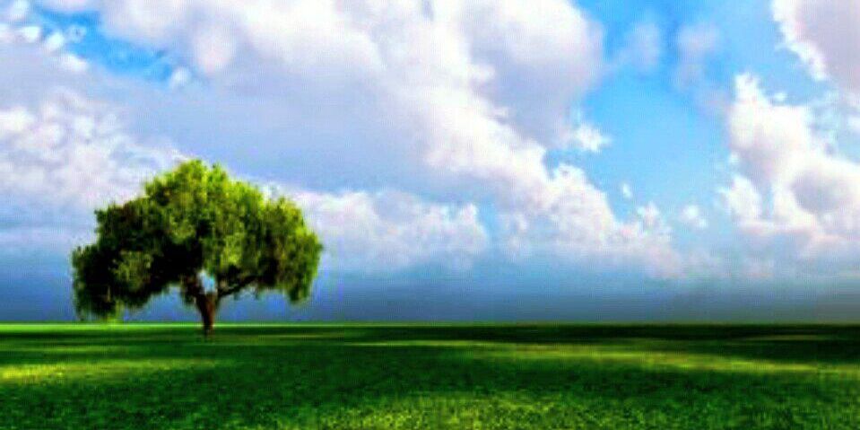 skst1126's profile banner image