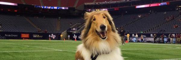 beccacooley5's profile banner image