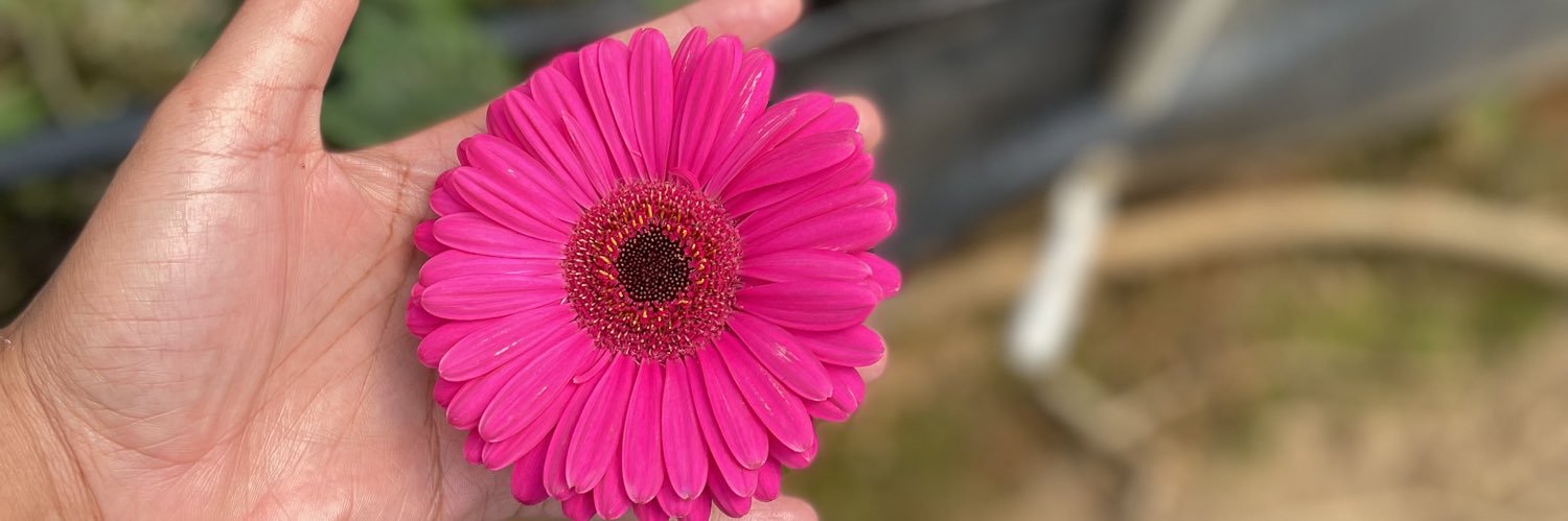 dacp22_'s profile banner image