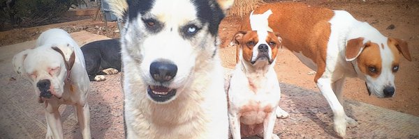 Friendl87462947 Profile Banner