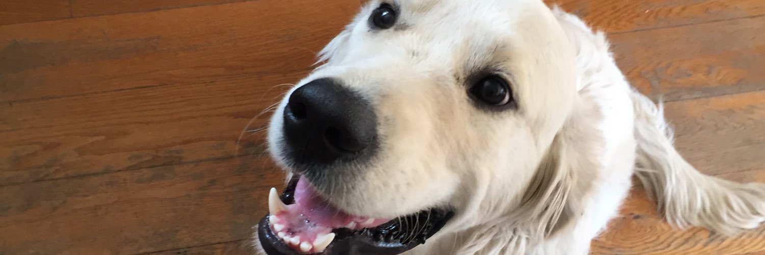 HayleyForbes's profile banner image