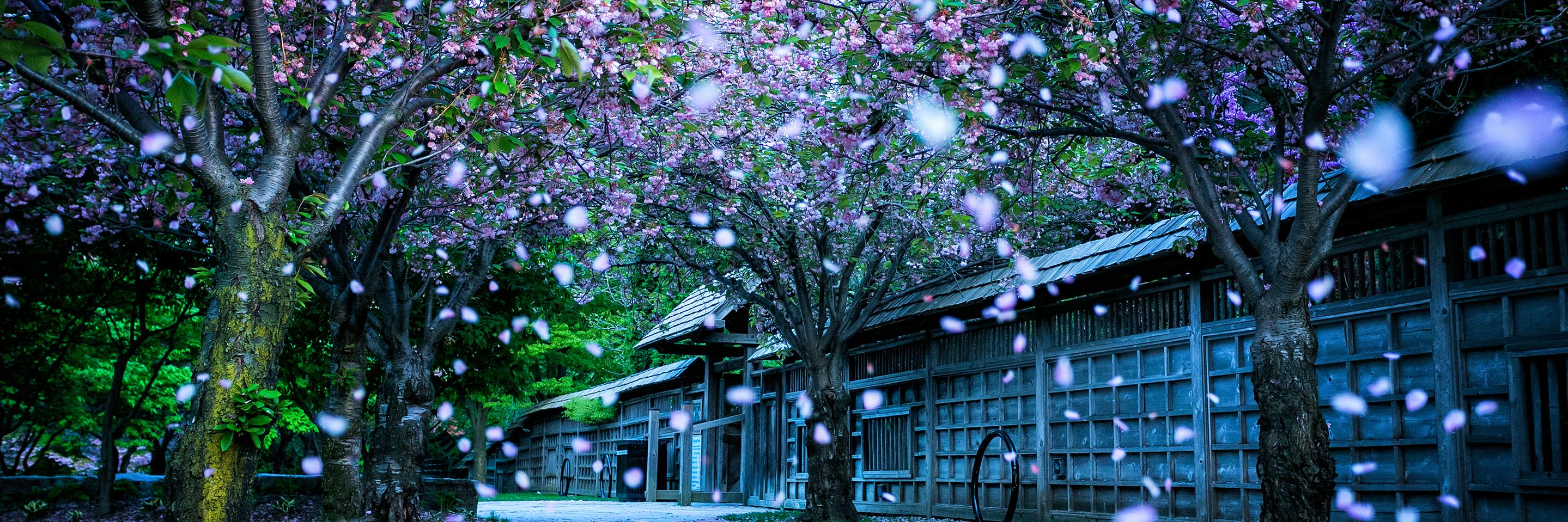kiri_here's profile banner image
