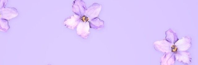 JeniferGzz's profile banner image