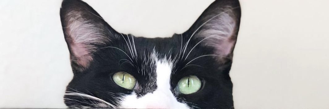 VomitsYourMind's profile banner image