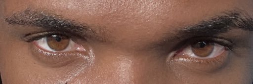 favoritinho banner