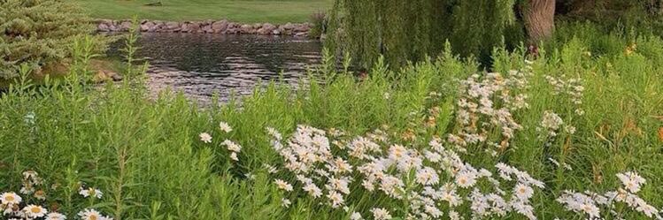 Jenna Rose🌹 banner