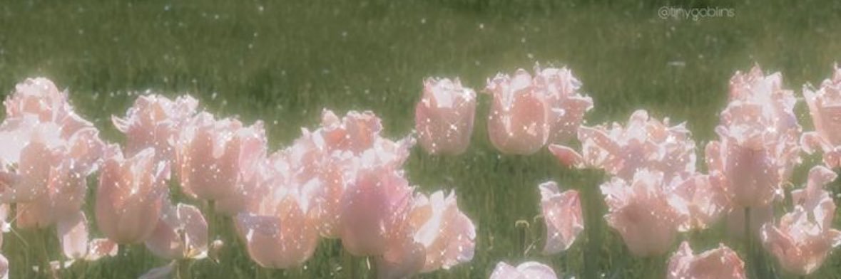 iab11i's profile banner image