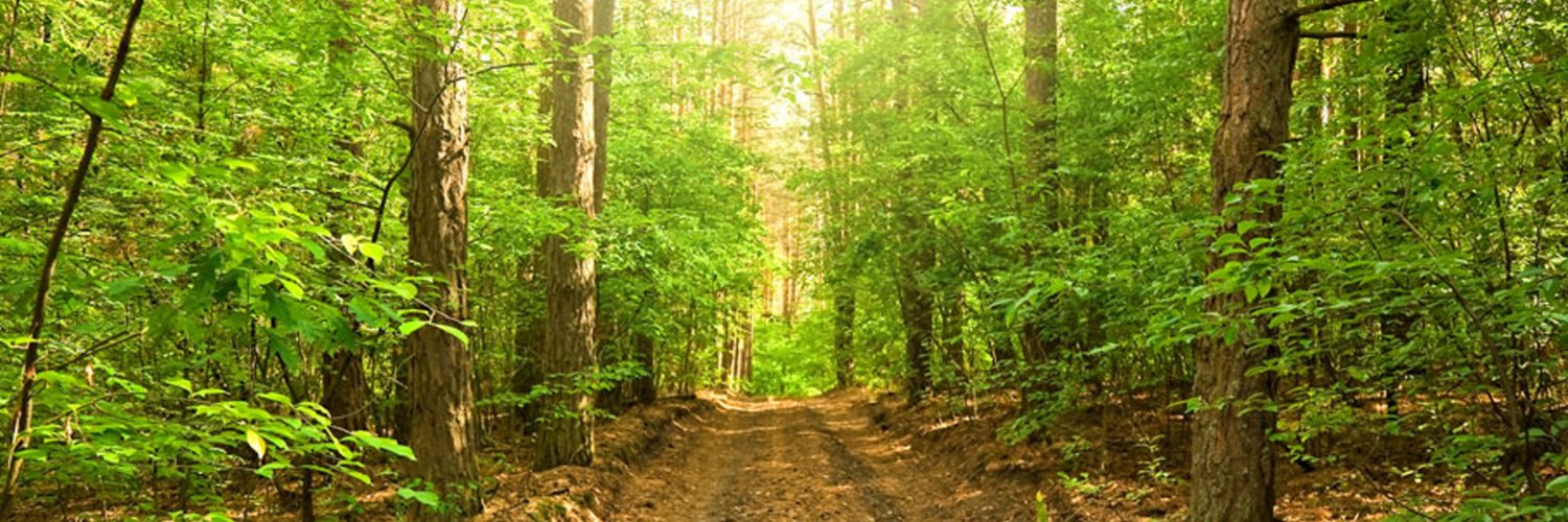 Mani Suri | ETHGas ⛽ banner