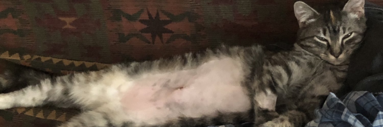 Alaska Zade💫 banner