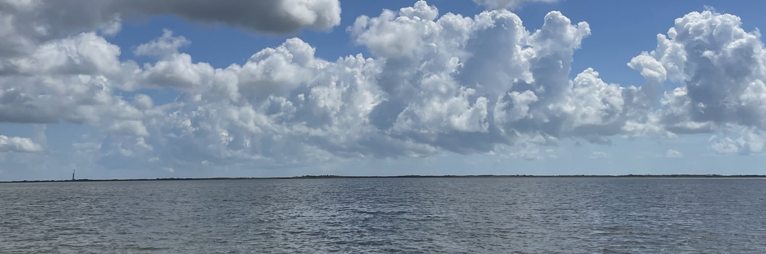 Melissa Saippa banner