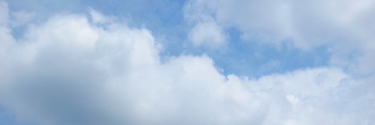 02 voters dnfi banner