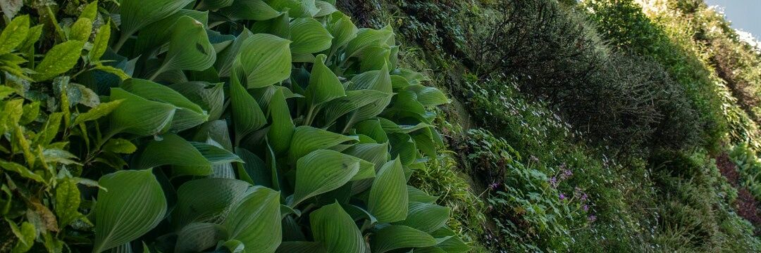 diana del rey 🦭 banner