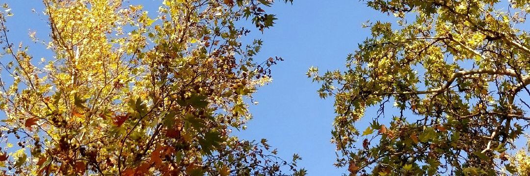 07Ruzgarbey's profile banner image