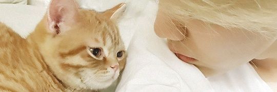 AnneU127's profile banner image