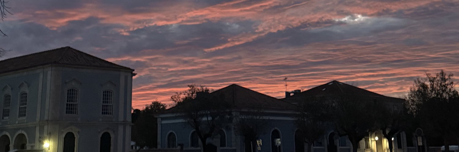 𝓣𝓲𝓷𝓲 banner