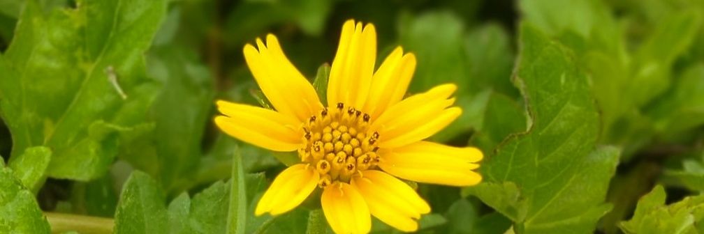 arnsalsabilla's profile banner image