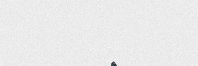 - banner