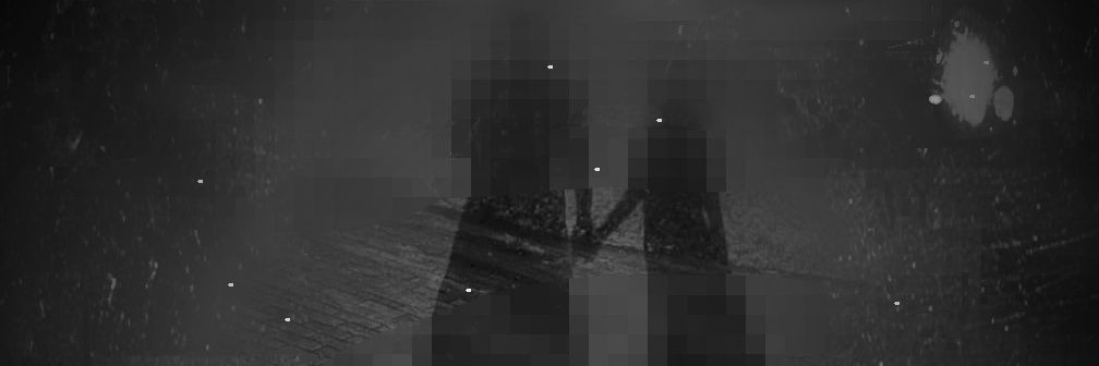 theys ✦ read bio banner