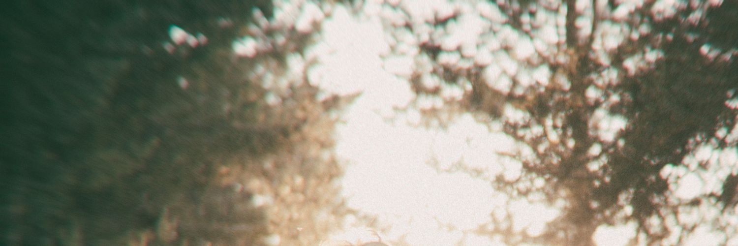 ghostemoon's profile banner image