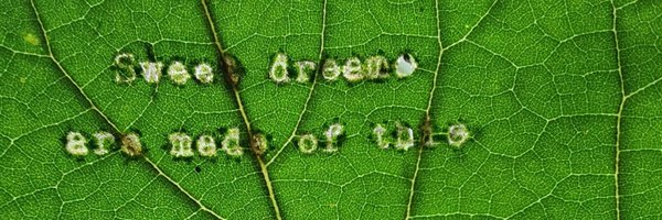 SimonStael Profile Banner