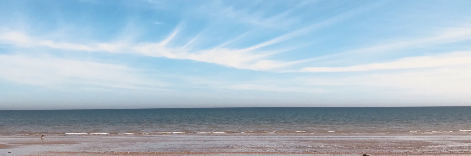 lisaxl8's profile banner image