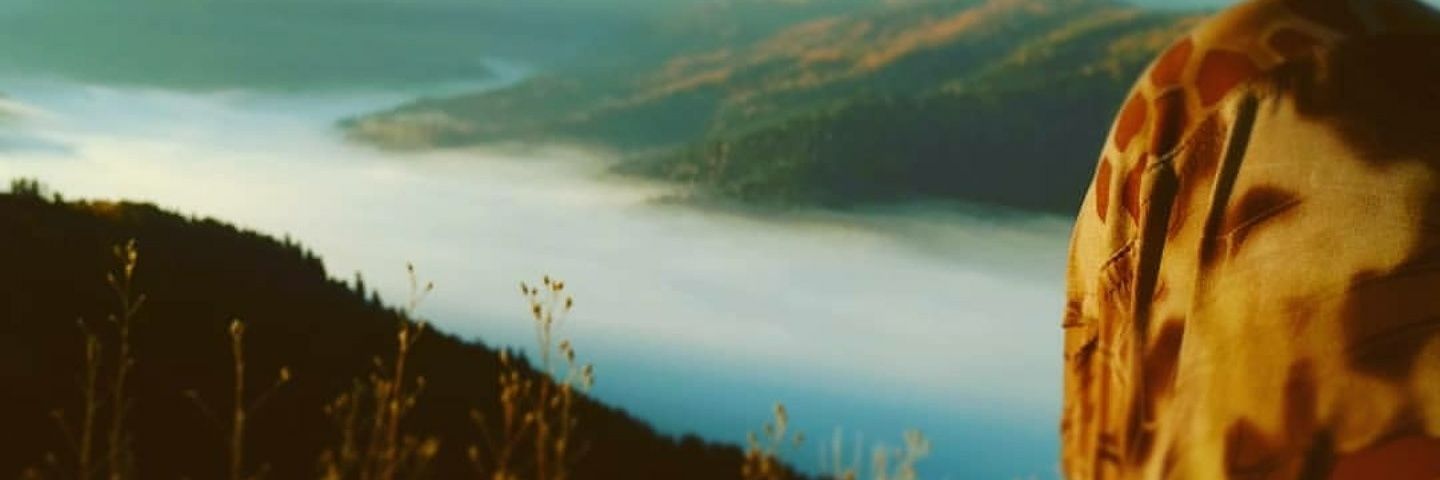 HighRangeHunt's profile banner image