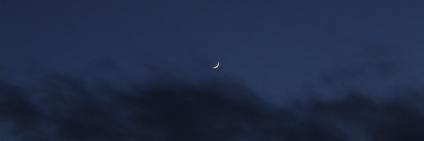 thetruepilot Profile Banner