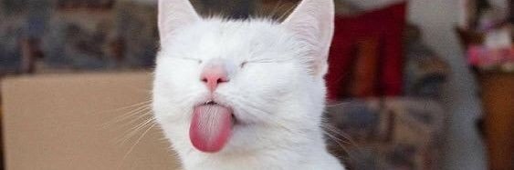 ชาเบสสสส | เดมแอคใหม่เลยนะ คิคิ banner