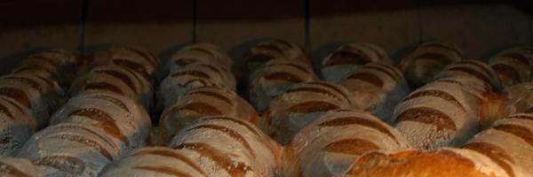 Breadbreadhead Profile Banner