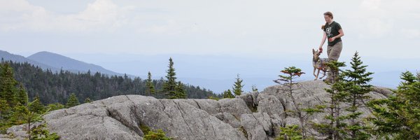 microbigal Profile Banner