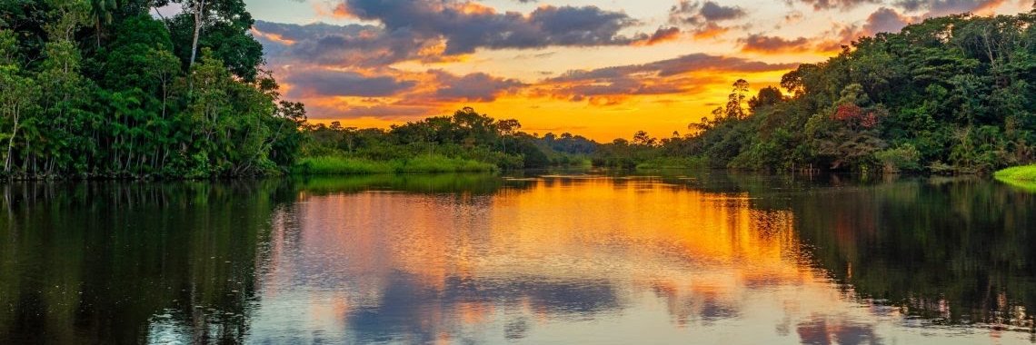 DECOOL Michael banner