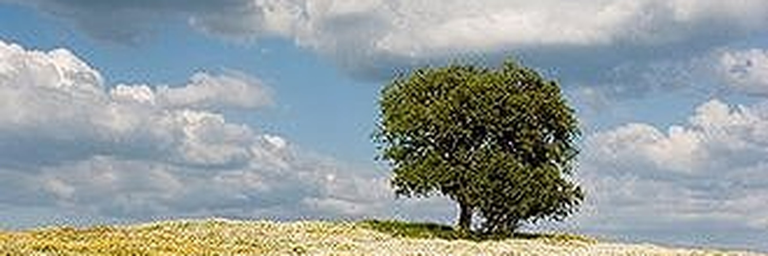 AndreYippy's profile banner image