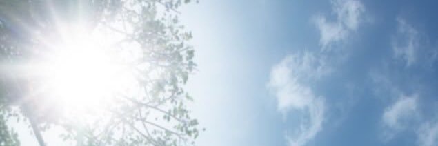 nices_'s profile banner image